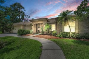 85 Kelleys Trl, OLDSMAR