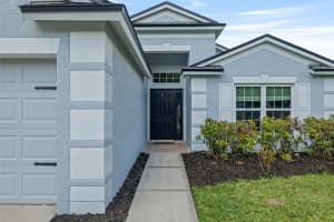 25247 LEXINGTON OAKS BOULEVARD, WESLEY CHAPEL, FL 33544 - MLS#MFRTB8419131