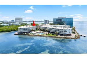 , TAMPA