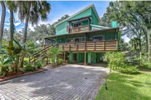 8614 Hibiscus Dr, TAMPA