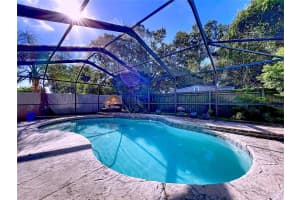 2003 LEICHESTER STREET, VALRICO, FL 33594 - MLS#MFRTB8419165