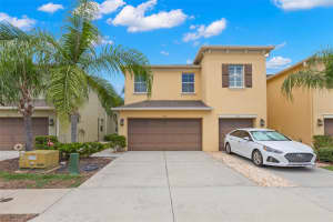 9517 TRUMPET VINE LOOP, TRINITY, FL 34655 - MLS#MFRTB8419166