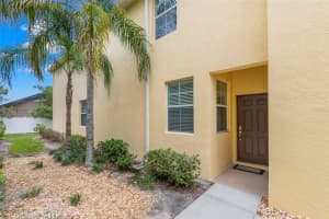 9517 TRUMPET VINE LOOP, TRINITY, FL 34655 - MLS#MFRTB8419166