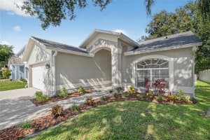 11930 LARK SONG LOOP, RIVERVIEW, FL 33579 - MLS#MFRTB8419197