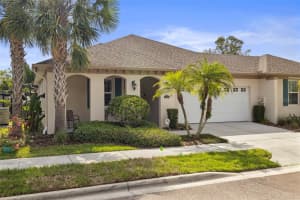 11402 Peckham Pl, TAMPA