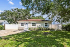 4006 SHAMROCK ROAD, TAMPA, FL 33611 - MLS#MFRTB8419211