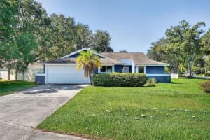 5388 Black Pine Dr, TAMPA