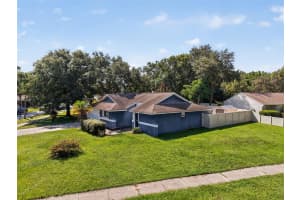 5388 BLACK PINE DRIVE, TAMPA, FL 33624 - MLS#MFRTB8419222
