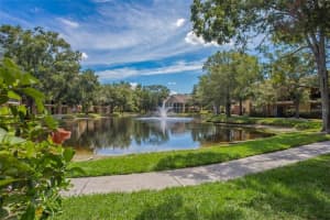 8709 Fancy Finch Dr #204(furnished), TAMPA