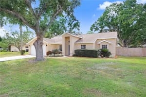 4925 IVY GLEN PLACE, LAND O LAKES, FL 34639 - MLS#MFRTB8419285