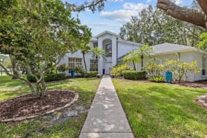 2328 WARWICK DRIVE, OLDSMAR, FL 34677 - MLS#MFRTB8419306