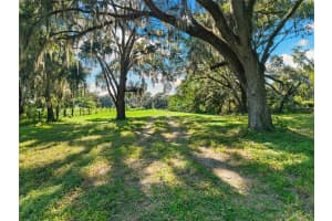 14765 US HIGHWAY 41, SPRING HILL, FL 34610 - MLS#MFRTB8419309