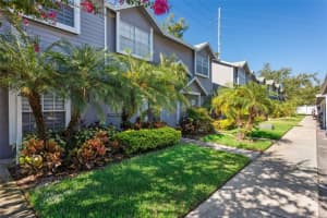 3414 Arbor Oaks Ct, TAMPA