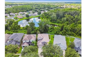 18434 RED WILLOW WAY, LAND O LAKES, FL 34638 - MLS#MFRTB8419328