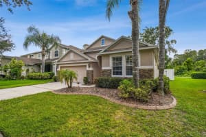 18434 RED WILLOW WAY, LAND O LAKES, FL 34638 - MLS#MFRTB8419328