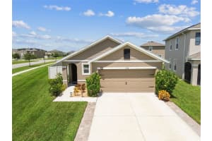 1398 Crescent Hoop Way, WESLEY CHAPEL