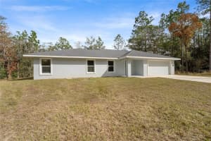 9461 SANDREE DRIVE, CITRUS SPRINGS, FL 34434 - MLS#MFRTB8419348
