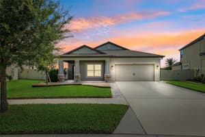 31031 Parrot Reef Ct, WESLEY CHAPEL