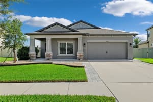 31031 PARROT REEF COURT, WESLEY CHAPEL, FL 33545 Sold 10/10/25