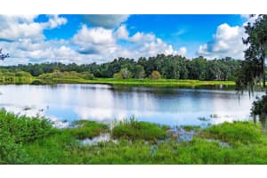34961 EASTERLING ROAD, DADE CITY, FL 33525 - MLS#MFRTB8419372