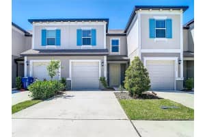 31771 BLUE PASSING LOOP, WESLEY CHAPEL, FL 33545 - MLS#MFRTB8419400