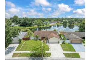 15909 Marshfield Drive Dr, TAMPA