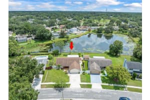 15909 MARSHFIELD DRIVE DRIVE, TAMPA, FL 33624 - MLS#MFRTB8419401