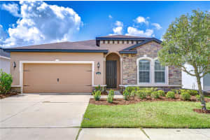 11162 Spring Point Cir, RIVERVIEW