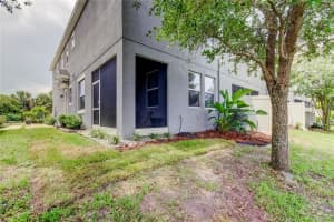 12333 BAYOU FLATS LANE, TAMPA, FL 33635 - MLS#MFRTB8419434