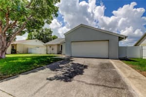 11010 WINGATE DRIVE, TAMPA, FL 33624 - MLS#MFRTB8419438