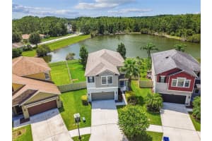 21170 WISTFUL YEARN DRIVE, LAND O LAKES, FL 34637 - MLS#MFRTB8419446
