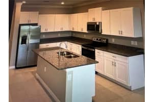31611 BLUE PASSING LOOP, WESLEY CHAPEL, FL 33545 - MLS#MFRTB8419449
