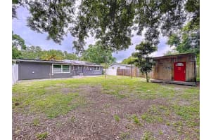 1341 SANDY LANE, CLEARWATER, FL 33755 - MLS#MFRTB8419453