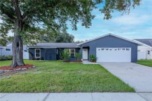 5808 Silver Moon Ave, TAMPA