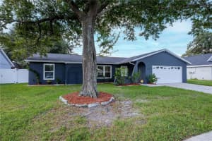 5808 SILVER MOON AVENUE, TAMPA, FL 33625 - MLS#MFRTB8419505