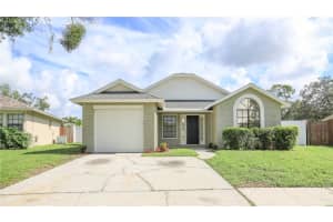 5345 SOUTHWICK DRIVE, TAMPA, FL 33624 - MLS#MFRTB8419509