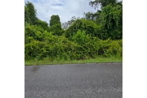 WANDELL, NEW PORT RICHEY, FL 34654 - MLS#MFRTB8419511