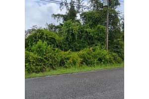 WANDELL, NEW PORT RICHEY, FL 34654 - MLS#MFRTB8419511