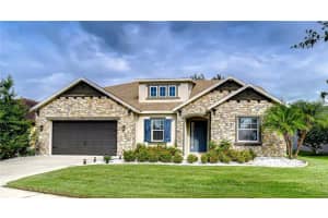 13318 FAWN LILY DRIVE, RIVERVIEW, FL 33579 - MLS#MFRTB8419531
