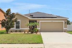 11338 LELAND GROVES DRIVE, RIVERVIEW, FL 33579 - MLS#MFRTB8419536