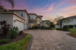 2611 COCO PALM CIRCLE, WESLEY CHAPEL, FL 33543 - MLS#MFRTB8419546