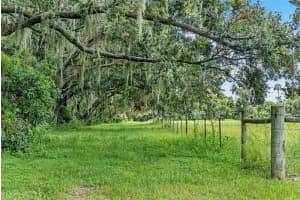 4486 MILEY ROAD, PLANT CITY, FL 33565 - MLS#MFRTB8419566