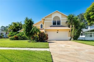 1229 Holiday Dr, TARPON SPRINGS