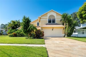 1229 HOLIDAY DRIVE, TARPON SPRINGS, FL 34689 - MLS#MFRTB8419589