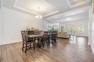 4716 BUTLER NATIONAL DRIVE, WESLEY CHAPEL, FL 33543 - MLS#MFRTB8419644