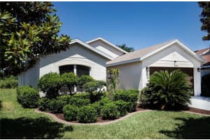 11413 MOUNTAIN BAY DRIVE, RIVERVIEW, FL 33569 - MLS#MFRTB8419681