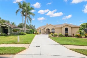 8436 RUSTLEWOOD COURT, TRINITY, FL 34655 - MLS#MFRTB8419695