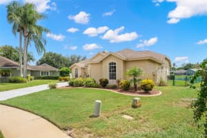 8436 RUSTLEWOOD COURT, TRINITY, FL 34655 - MLS#MFRTB8419695