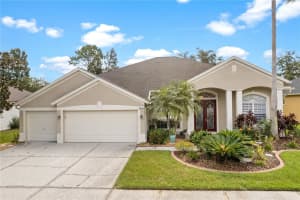 5234 Silver Charm Ter, WESLEY CHAPEL
