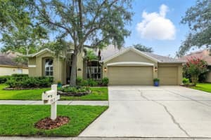 9415 Hunters Pond Dr, TAMPA
